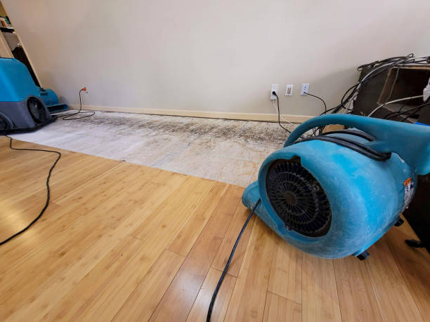 Professional Ceiling Water Damage Repair technician working in South River, NJ